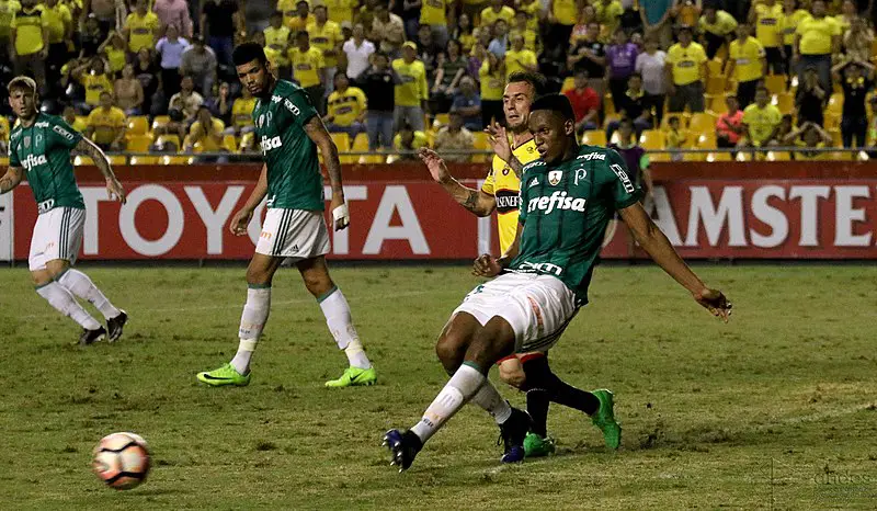 Yerry Mina